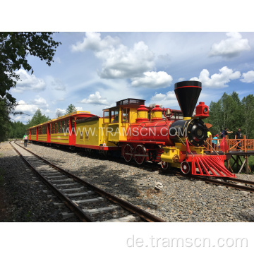 Wunderschöner Wald, der von Track Train reist